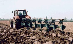 Cimatrice per vigneto prezzi Cimatrice per vigneto prezzi